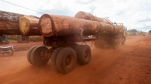 Alamy China has invested vast sums of money in Cameroon's infrastructure so that it can extract the country's natural resources, including timber (Credit: Alamy)
