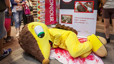 Alexandra Andersson Conservationists attempt to raise awareness of the pangolin's plight on Hong Kong's streets (Credit: Alexandra Andersson)