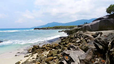 Helen Soteriou £100 million worth of pirate treasure is reportedly is buried in Seychelles (Credit: Helen Soteriou)