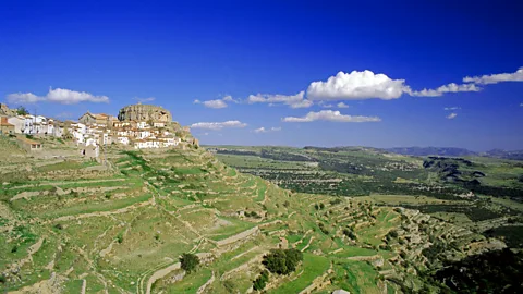 robertharding/Alamy Spain’s Castellón Province is home to 2,000-year-old olive trees (Credit: robertharding/Alamy)