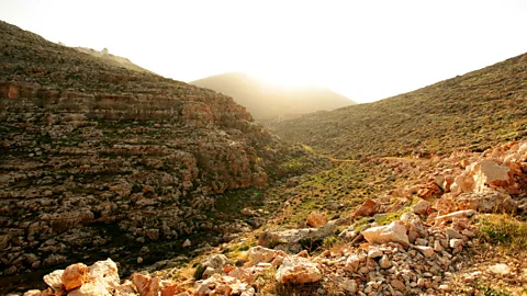 Leila Molana-Allen Families along the trail are proud to show their slice of the West Bank to anyone who wants to see (Credit: Leila Molana-Allen)