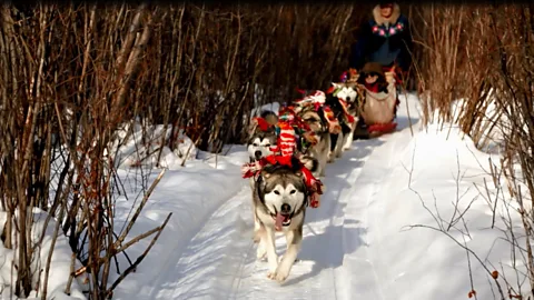 Travel Alberta (Credit: Travel Alberta)