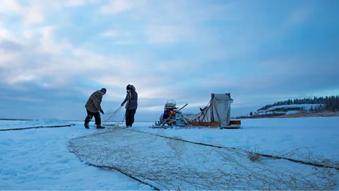 Trent Enzol/Travel Alberta (Credit: Trent Enzol/Travel Alberta)