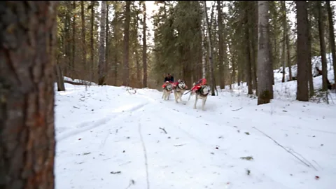 Screen Shot 2017 05 01 at 3 24 50 PM