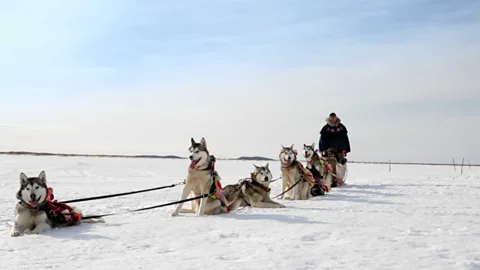 Screen Shot 2017 05 01 at 3 23 49 PM