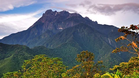 Nora Carol Photography/Getty Images Mount Kinabalu is one of the world’s richest biodiversity hotspots (Credit: Nora Carol Photography/Getty Images)