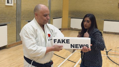 How fake news is presented