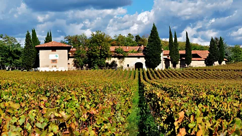 AGF/Getty Franciacorta is Italy’s most unspoiled, elite wine paradise (Credit: AGF/Getty)