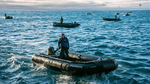 Andre Gallant The bird monitoring program also informs local Inuit communities of toxin levels in the water, where they hunt and fish (Credit: Andre Gallant)