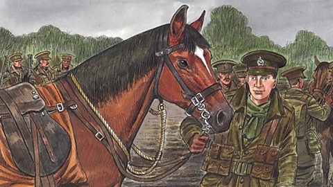 School Radio - War Horse by Michael Morpurgo