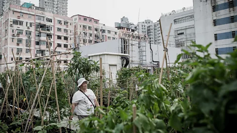 Getty Images (Credit: Getty Images)