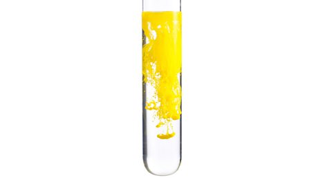 A yellow precipitate of lead iodide.