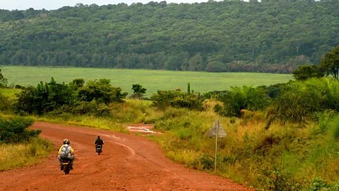 Bryan Kisembo Delon Bugala Island is home to Luwala, the python spirit (Credit: Bryan Kisembo Delon)