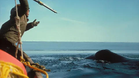 Alamy Siberian Yupik hunters use whistles to call out commands as they hunt at sea (Credit: Alamy)