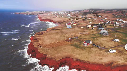 Uladzimir Taukachou (Credit: Uladzimir Taukachou)