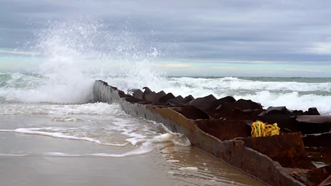 Uladzimir Taukachou (Credit: Uladzimir Taukachou)