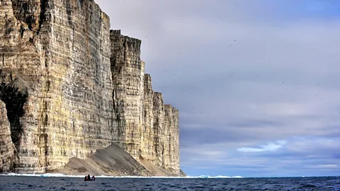 All Canada Photos/Alamy Researchers collect bird eggs from 1,000ft cliffs (Credit: All Canada Photos/Alamy)