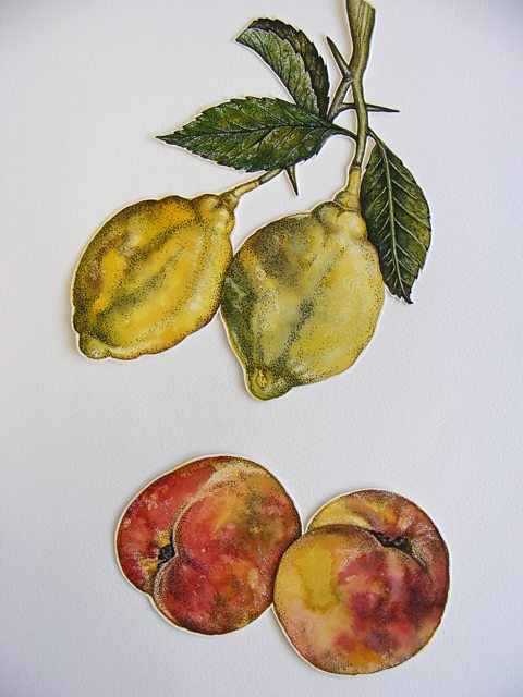 Student lemons and peaches painting from primary source