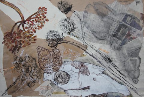 Charcoal, pen and pencil drawing on parcel paper of some flowers and shells