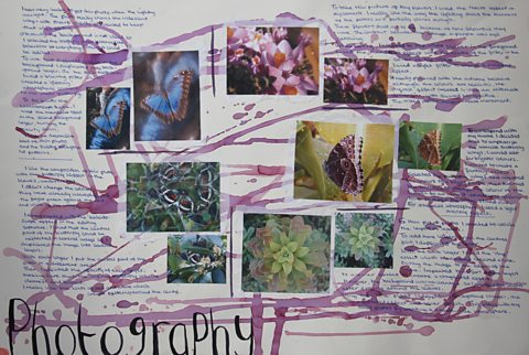 Photos of butterflies and plants, and annotations explaining a student's thoughts