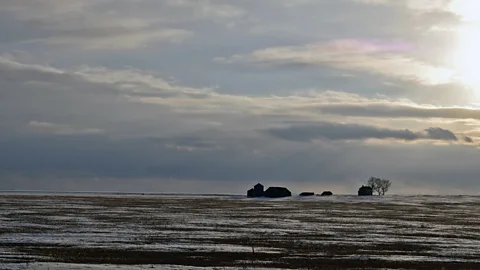 Ryan MacDonald Forget, Saskatchewan