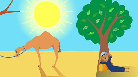 The Islamic Story of The Prophet and the Ants and 'The Crying Camel'