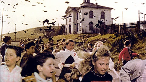 Alamy Hitchcock’s The Birds, based on a Du Maurier short story, changed many of the plot details but shared its author’s affinity for the relationship of sex and dread (Credit: Alamy)