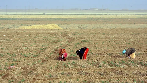 Getty Images Droughts and climate change will make water-fuelled diplomacy a crucial exercise in the 21st Century. (Credit: Getty Images)