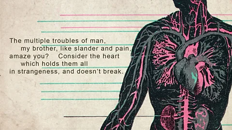 iStock (Credit: iStock)