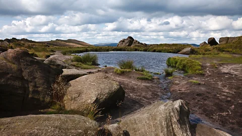 Alamy Doxey Pool is said to be the home to a mysterious mermaid who tempts people to their deaths (Credit: Alamy)
