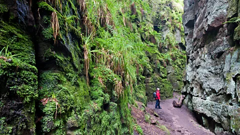 Alamy In the 1300s, Lud’s Church was a secret place of worship (Credit: Alamy)