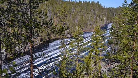 Sarah Gibbons Lenny Daly: “A summer’s day in the wilderness is my favourite part of being here” (Credit: Sarah Gibbons)
