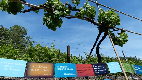 Caroline Bishop The tiny vineyard above Saillon named after Farinet has become a pilgrimage site for the free-spirited (Credit: Caroline Bishop)