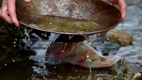 Ryan MacDonald Yukon, gold, panning