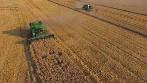 Getty Lots of land is devoted to farm land that grows crops that end up being wasted - 40% of the food grown in the world is thrown away, wasting land and resources (Credit: Getty)