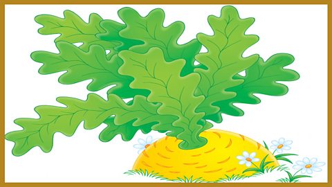 8: The Enormous Turnip