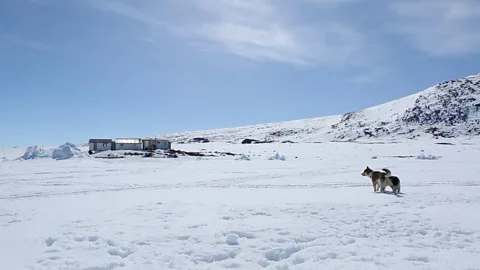 Qajaaq Ellsworth Inuits in places like Nunavut survive harsh Arctic winters (Credit: Qajaaq Ellsworth)