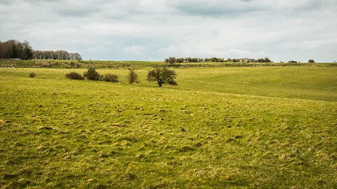 Vivien Cumming Today, Durrington Walls is a field surrounded by banks (Credit: Vivien Cumming)