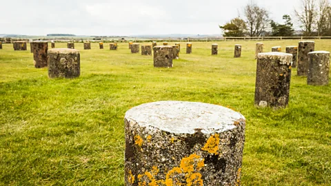 Vivien Cumming Modern stones mark where the pillars of Woodhenge, another ancient monument in the area, would have been (Credit: Vivien Cumming)