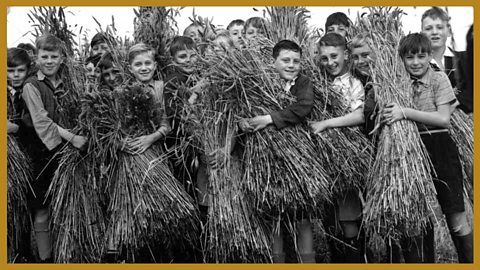 2: Life in the country