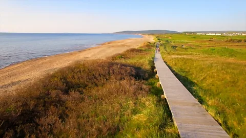 Eliana Alvarez Martinez A boardwalk along the coast of Cape Breton Island, Nova Scotia (Credit: Eliana Alvarez Martinez)