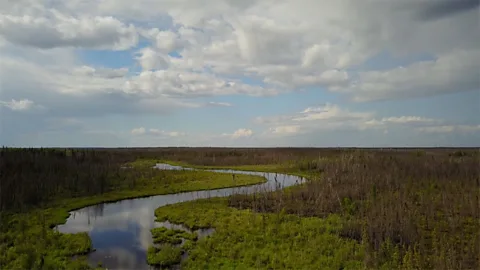 Eliana Alvarez Martinez Aerial view of a lake near Ilford, Manitoba, Canada (Credit: Eliana Alvarez Martinez)