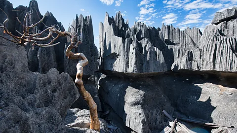 Madagascar, tsingy, Tsingy de Bemaraha National Park, climbing