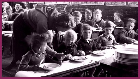 Report on the school meal service