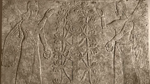 Heritage Image Partnership Ltd/Alamy Trees have always been emblematic, as seen in this ancient engraving of winged protective spirits and the sacred tree of life. (Credit: Heritage Image Partnership Ltd/Alamy)