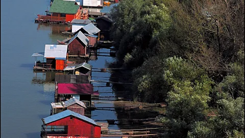 Art ZAMUR/Getty Images The first splavs were established near Ada Ciganlija and were privately owned by wealthy citizens (Credit: Art ZAMUR/Getty Images)
