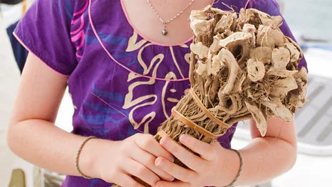 Diane Selkirk In Fiji, traditional custom holds that a visitor needs to offer kava roots as a gesture of respect (Credit: Diane Selkirk)