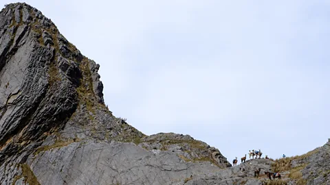 Kevin Floerke Llamas on a mountain ridge along the Qhapaq Ñan in Peru (Credit: Kevin Floerke)
