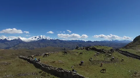 Kevin Floerke View of ruins and llamas in the Peruvian Andes (Credit: Kevin Floerke)