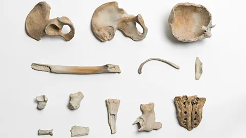 Ai Weiwei Studio Remains (2014) is a set of 54 porcelain replicas of human bones excavated from the site of a labour camp that operated under Mao Zedong in the late 50s (Credit: Ai Weiwei Studio)